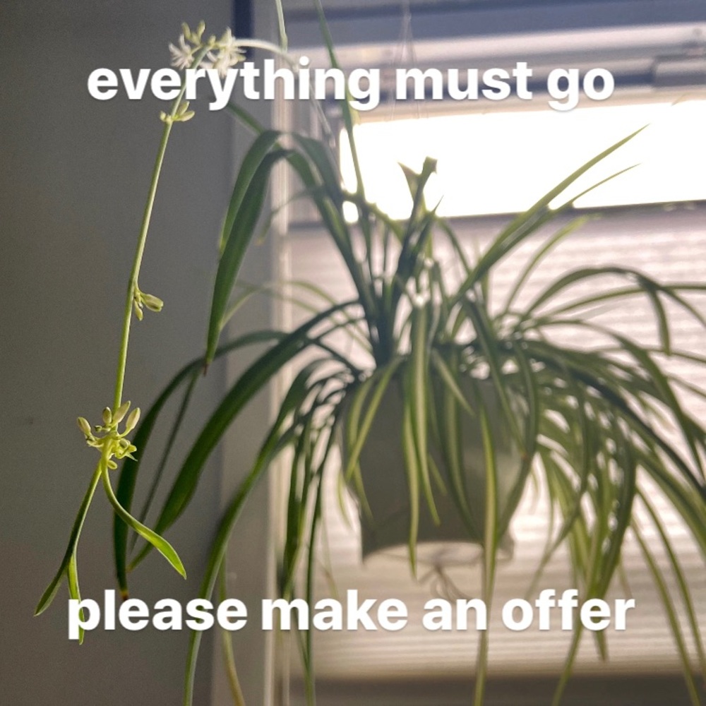 open to offers